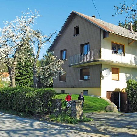 Haus Hollerbusch Lejlighed Neunburg vorm Wald Eksteriør billede