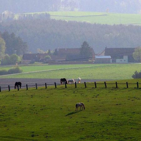 Haus Hollerbusch Lejlighed Neunburg vorm Wald Eksteriør billede