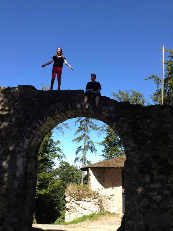 Haus Hollerbusch Lejlighed Neunburg vorm Wald Eksteriør billede