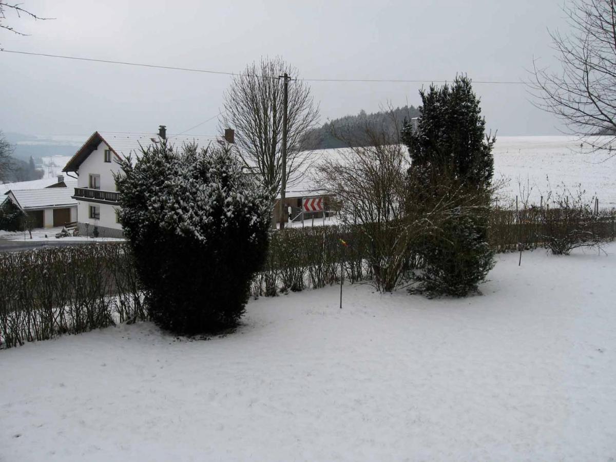 Haus Hollerbusch Lejlighed Neunburg vorm Wald Eksteriør billede