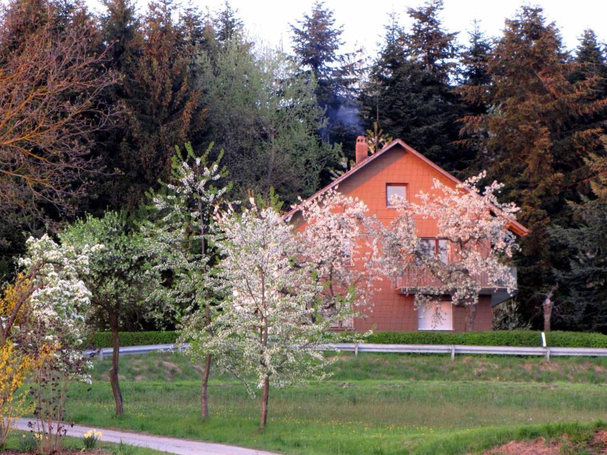 Haus Hollerbusch Lejlighed Neunburg vorm Wald Eksteriør billede
