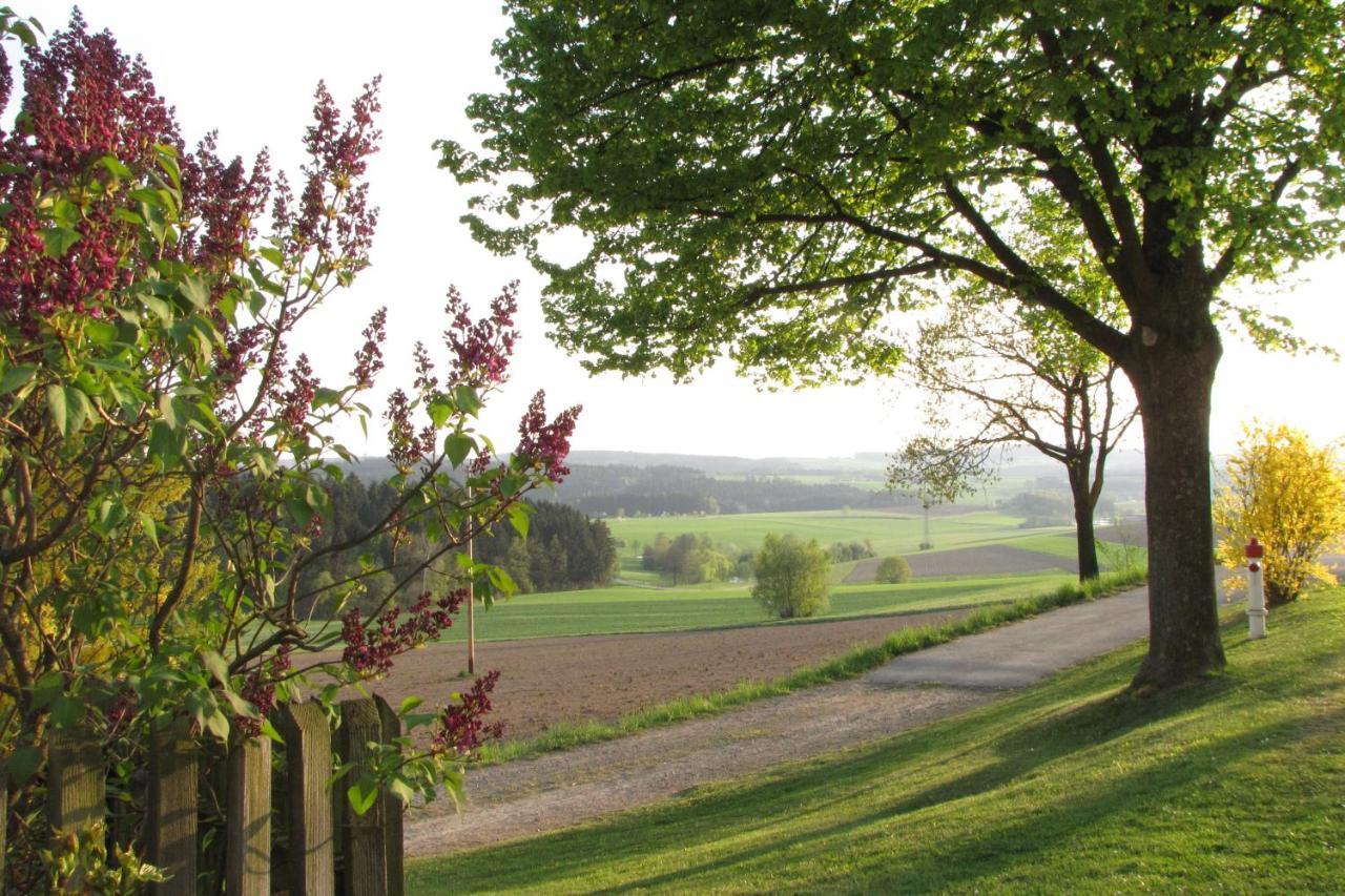 Haus Hollerbusch Lejlighed Neunburg vorm Wald Eksteriør billede