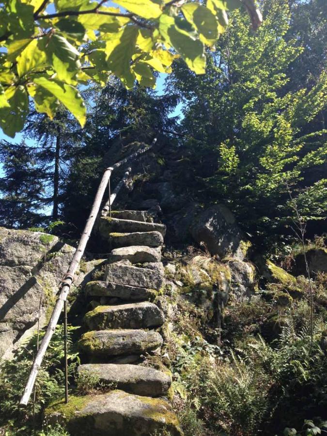 Haus Hollerbusch Lejlighed Neunburg vorm Wald Eksteriør billede