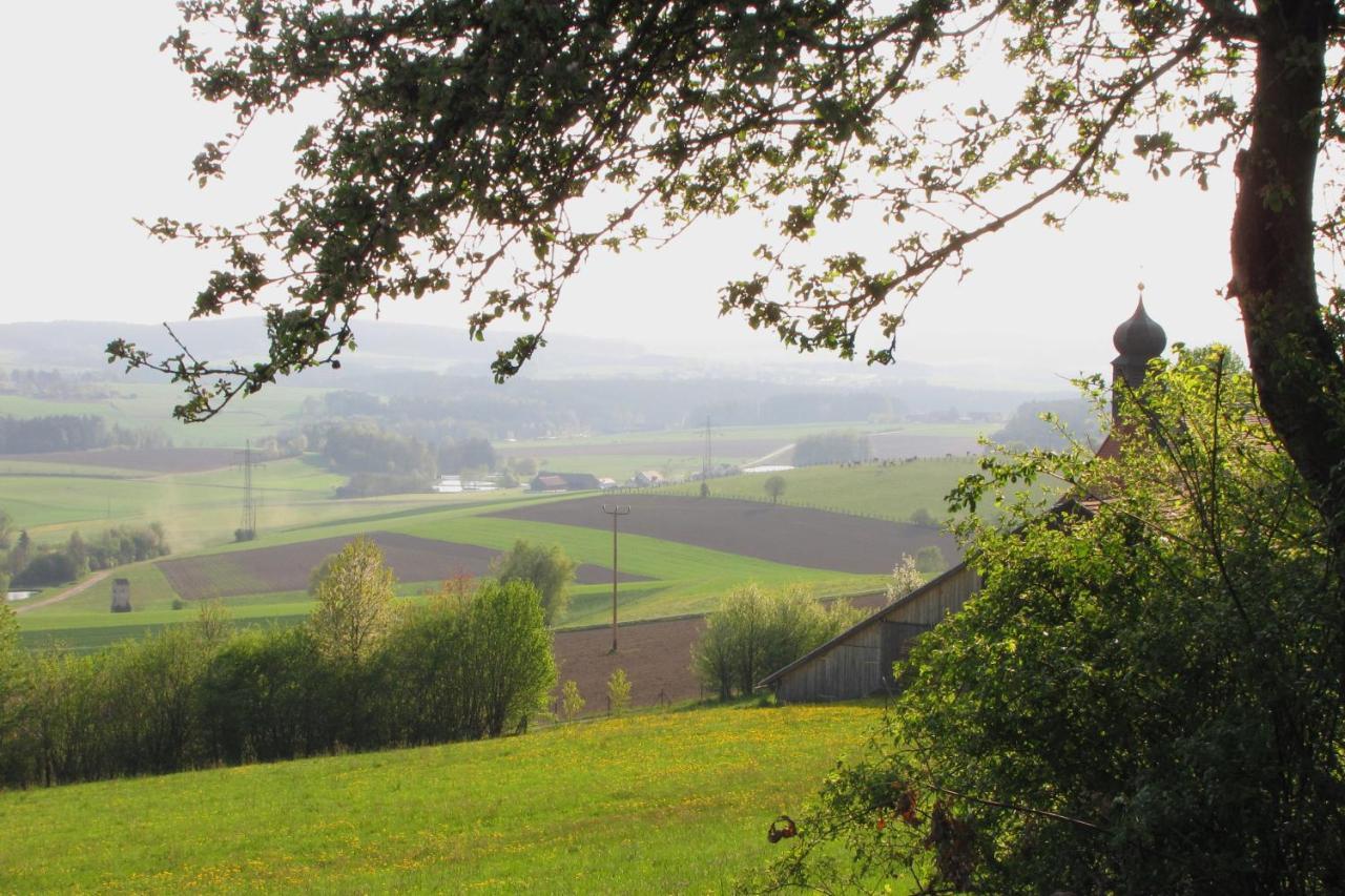 Haus Hollerbusch Lejlighed Neunburg vorm Wald Eksteriør billede
